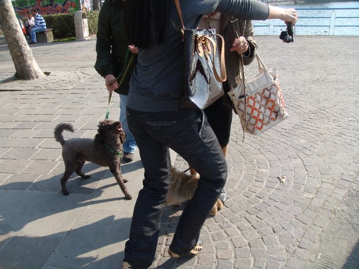 DSC07587