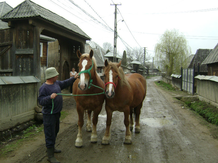 DSC04117 - poze cu gina si  cu geta