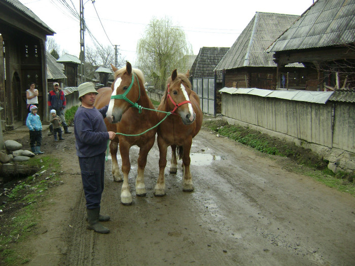 DSC04118 - poze cu gina si  cu geta