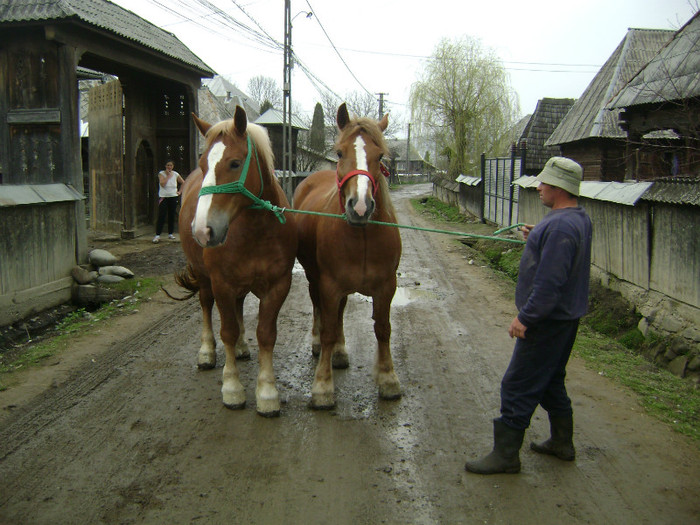 DSC04120 - poze cu gina si  cu geta