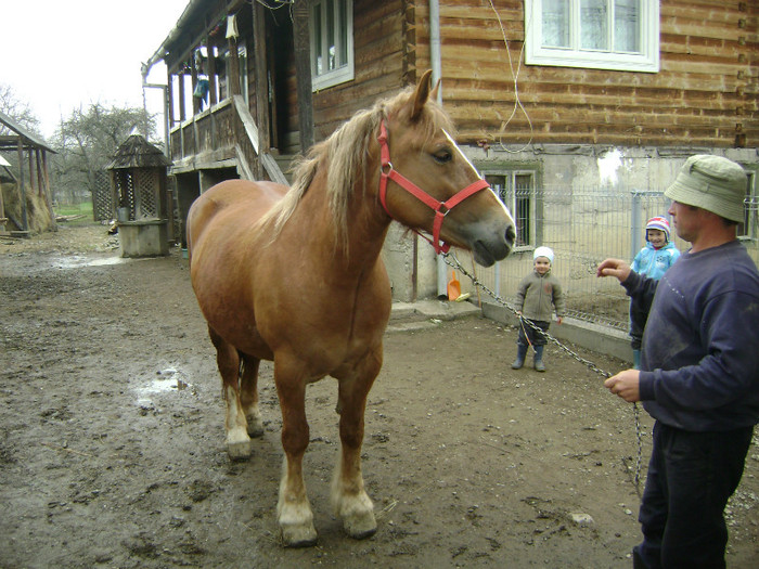 DSC04125 - poze cu gina si  cu geta