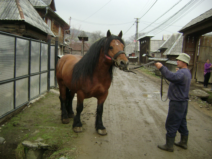 DSC04131 - poze cu gina si  cu geta