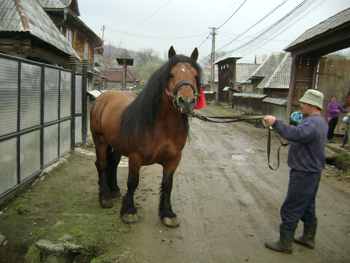 DSC04132 - poze cu gina si  cu geta