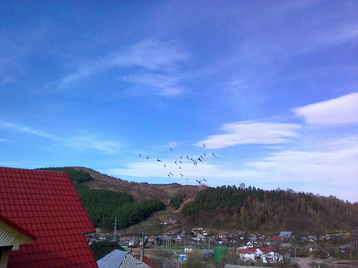 13 apr 2012 - Diverse poze
