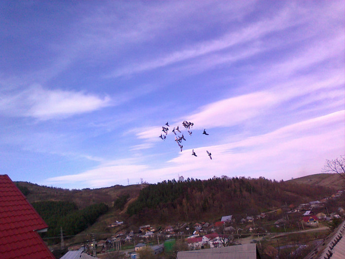 13 apr 2012 - Diverse poze
