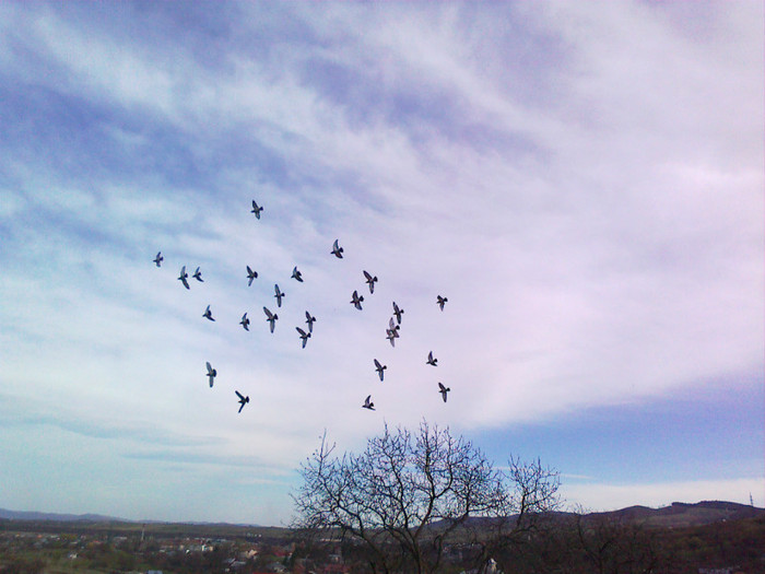 13 apr 2012 - Diverse poze