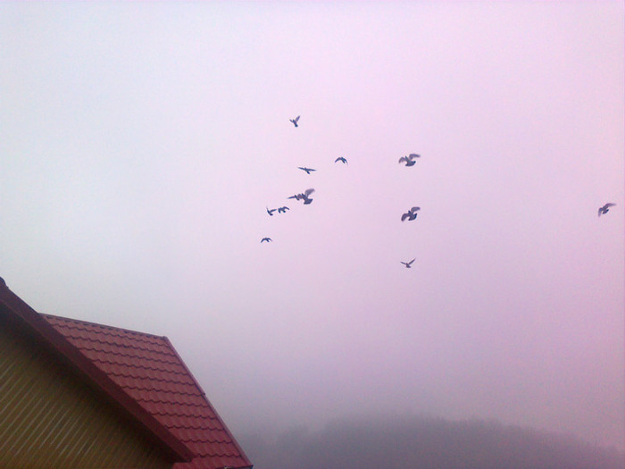 14 apr 2012 - Diverse poze