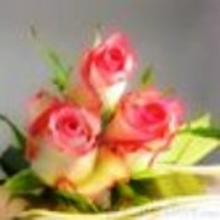 roses-and-chocolates-thumb1919581 - flori noi 2012