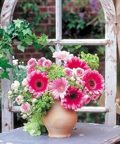 117wg46 - flori noi 2012