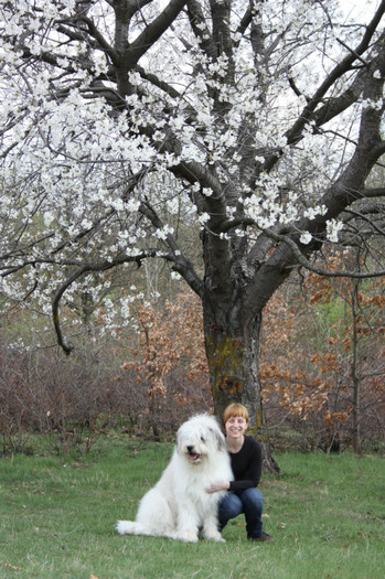 IMG_2674 - o noua membra a familiei-MARA-CIOBANESC MIORITIC