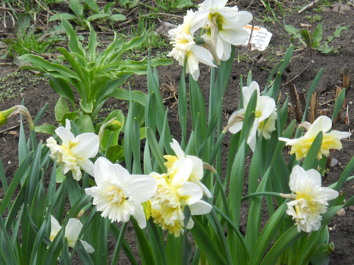 DSCN2457