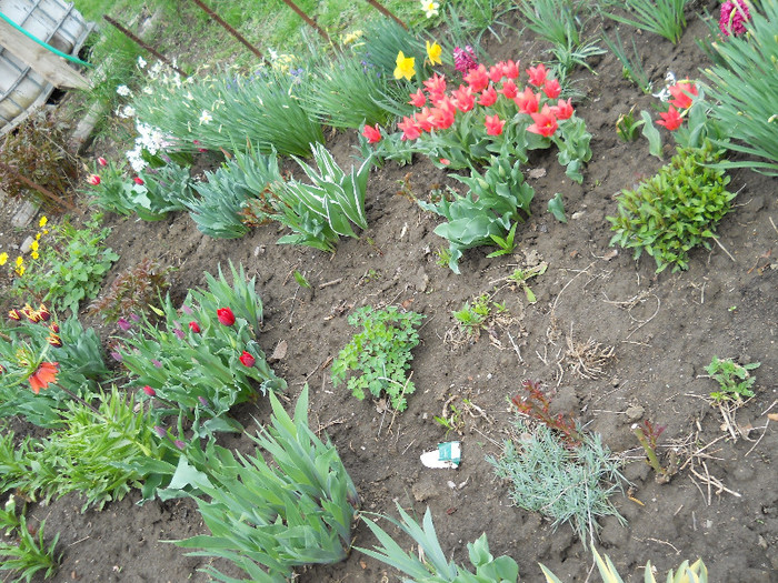 DSCN2466