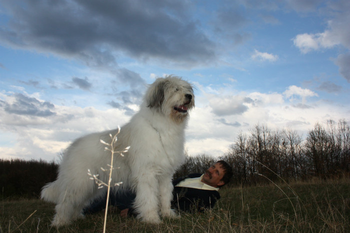 IMG_2882 - o noua membra a familiei-MARA-CIOBANESC MIORITIC