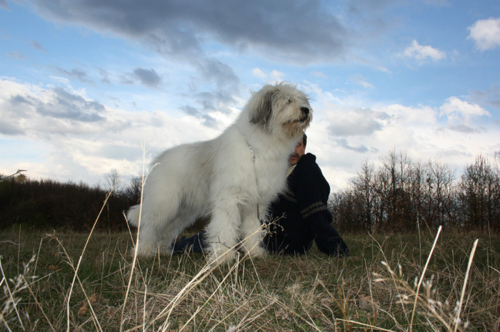 IMG_2876 - o noua membra a familiei-MARA-CIOBANESC MIORITIC