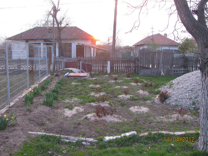 11.04.2012 - Gradina noastra 2012