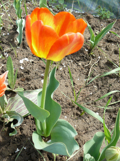 P1020416