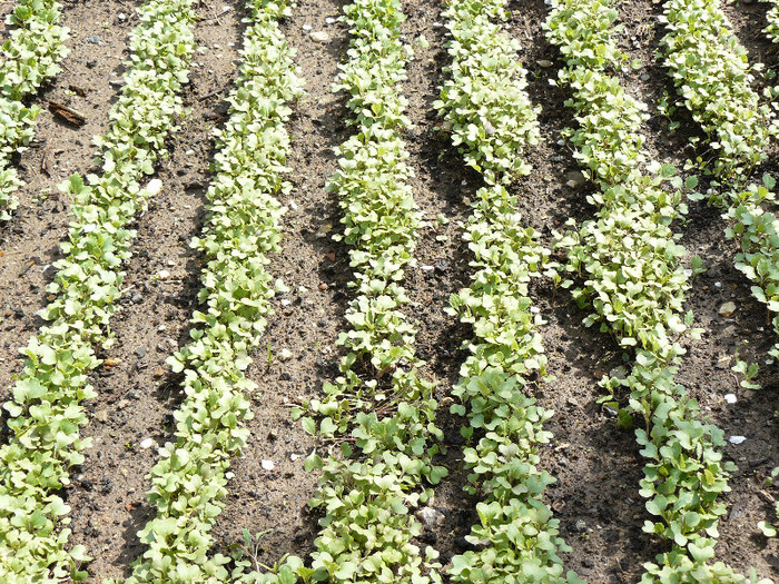 P1020461