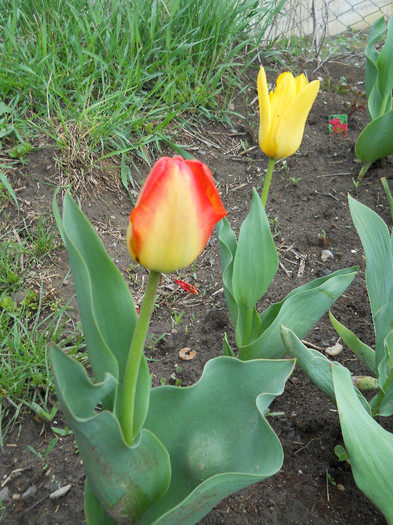 DSCN2479