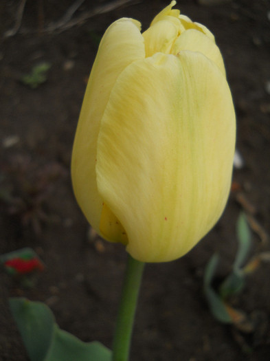 DSCN2486