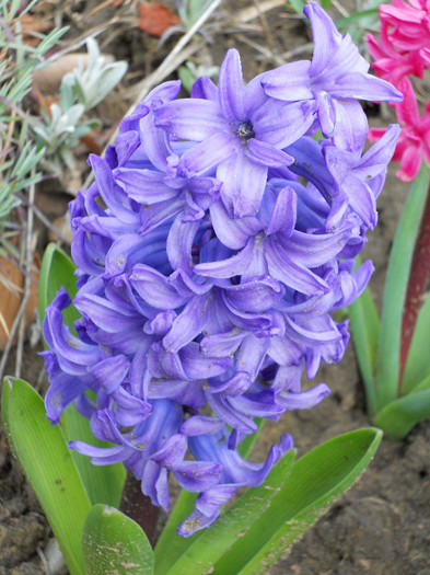DSCN2502