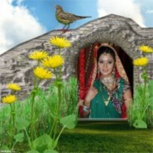 533110_206046992843876_100003157303250_356501_165636971_a - Colaje-india