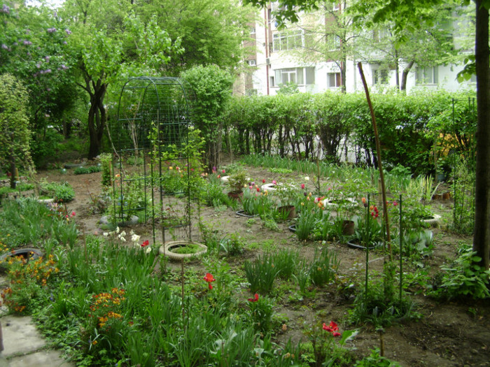 DSC04498 - a__primavara 2012