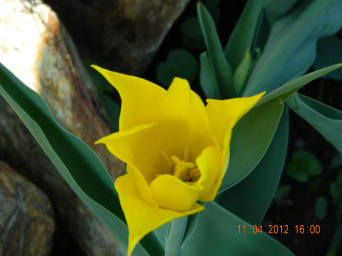 009 - 4_APRILIE