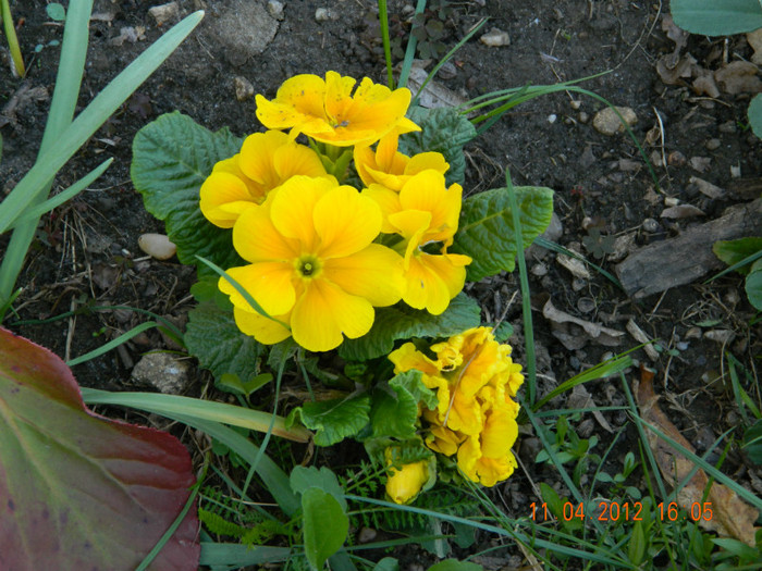020 - 4_APRILIE
