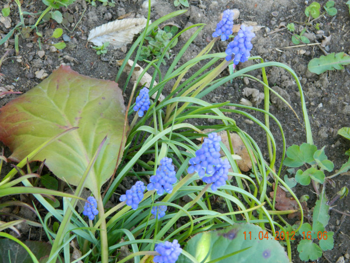 021 - 4_APRILIE