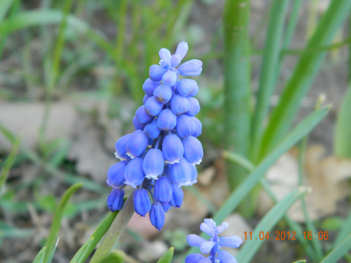 022 - 4_APRILIE