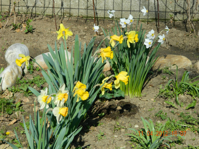 023 - 4_APRILIE