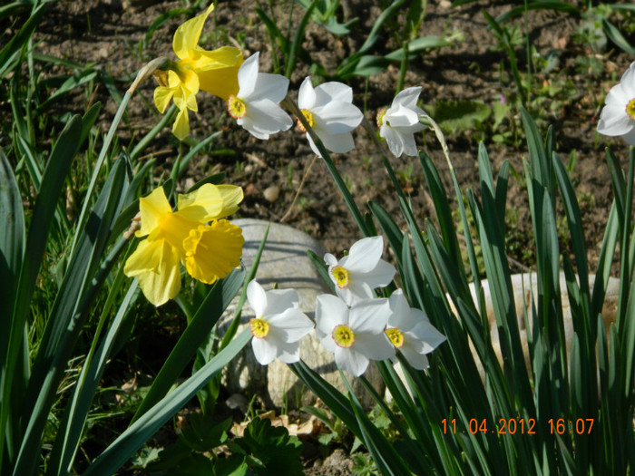 024 - 4_APRILIE