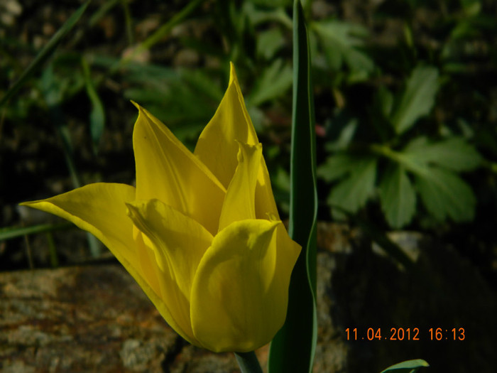 031 - 4_APRILIE