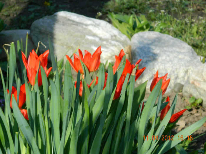 038 - 4_APRILIE