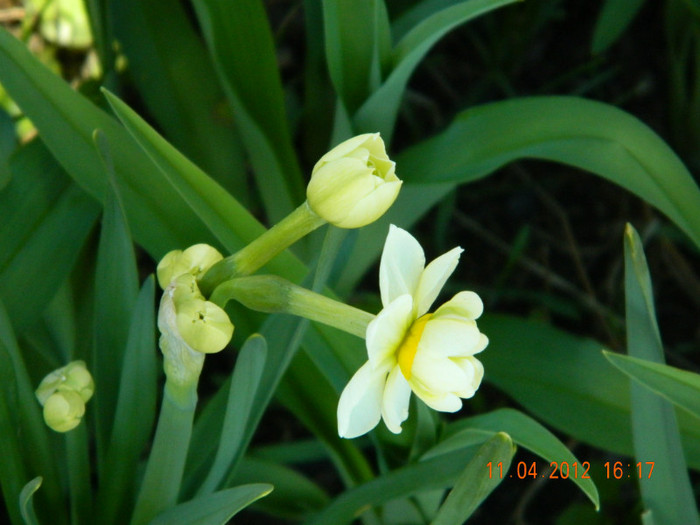 039 - 4_APRILIE