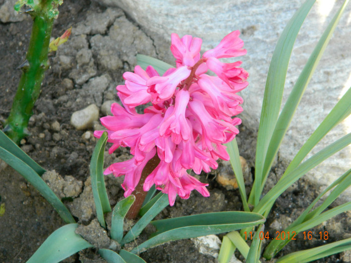 040 - 4_APRILIE