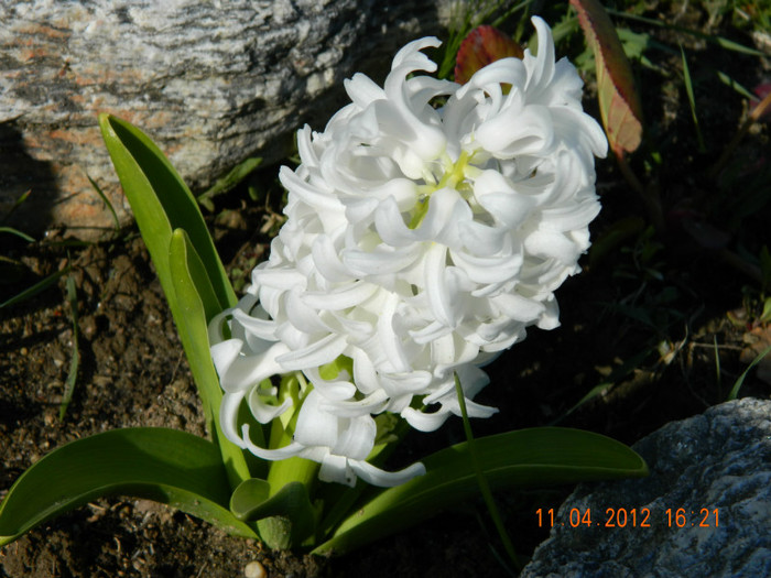 043 - 4_APRILIE