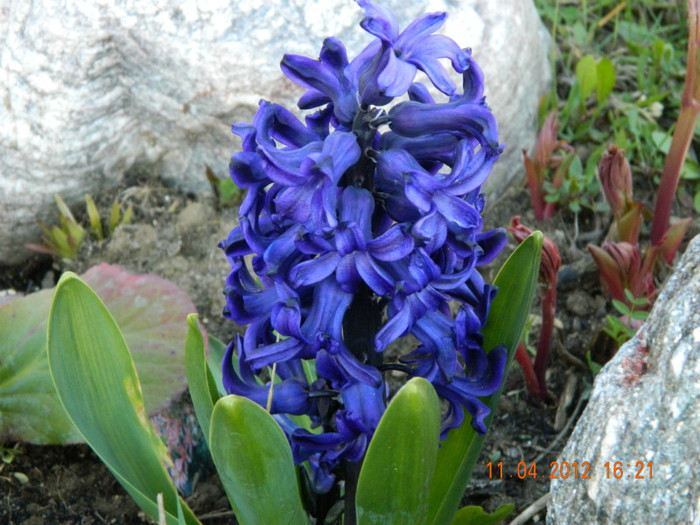 044 - 4_APRILIE