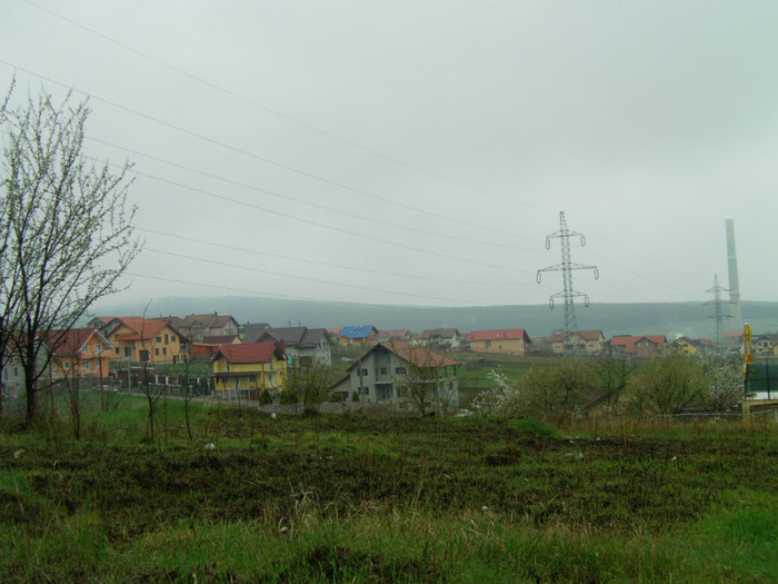 IMAG0023 - zalau zona dumbrava