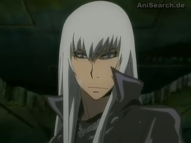 squalo 8