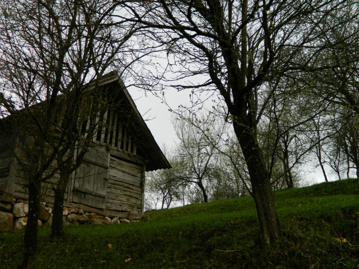 Picture 045