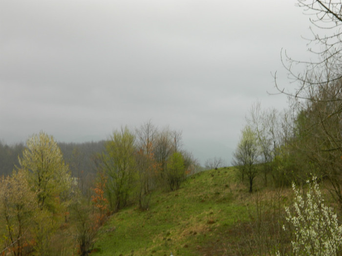 Picture 061
