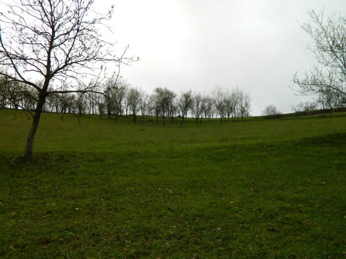 Picture 073
