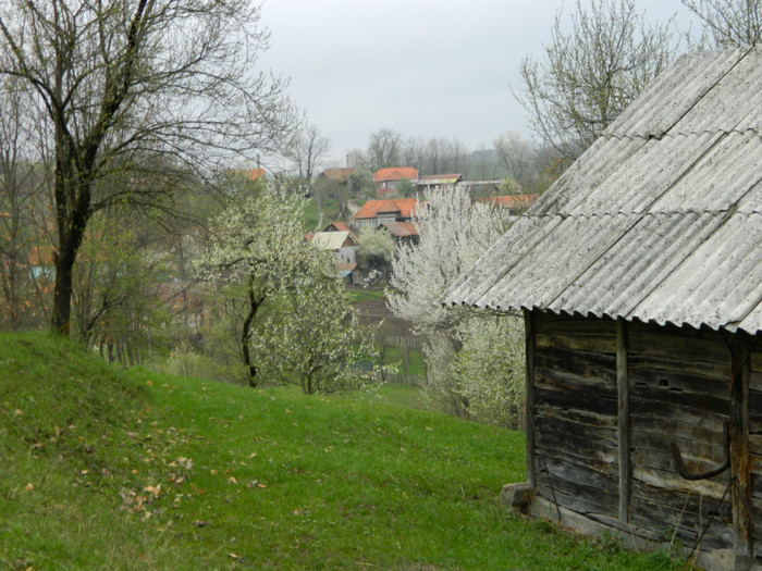 Picture 093