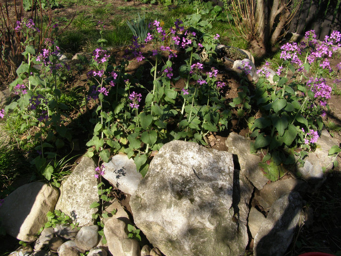 P3046988