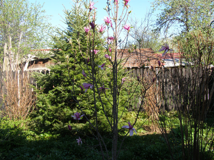 P3046995