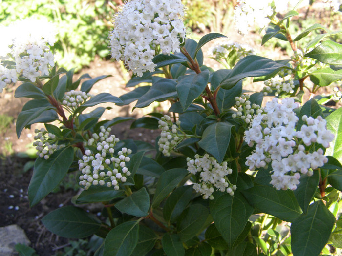 P3046999