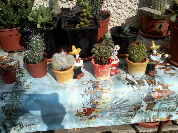 2012-04-16 15.42.58 - cactusi 2012