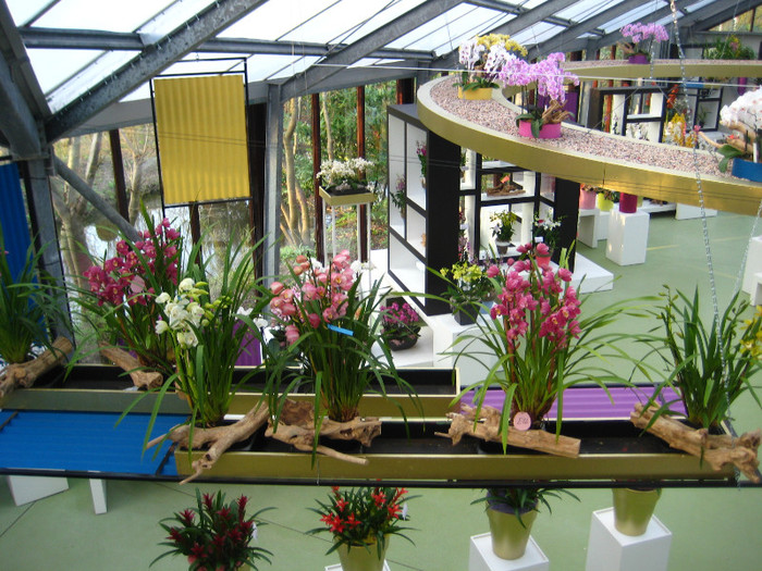 23.03.2012 o zi de vis 269 - Expozitie de orhidee Keukenhof 2012