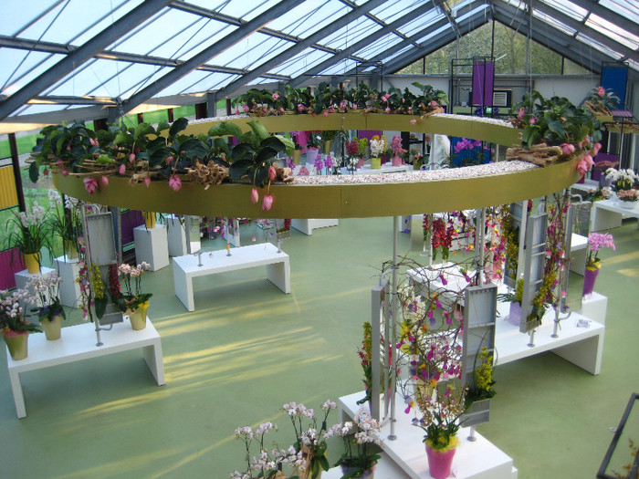 23.03.2012 o zi de vis 270 - Expozitie de orhidee Keukenhof 2012